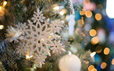 Welcome the Holidays with these Chicago Area Events!